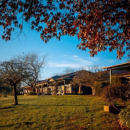 Acheron Valley Country Retreat Buitenkant foto