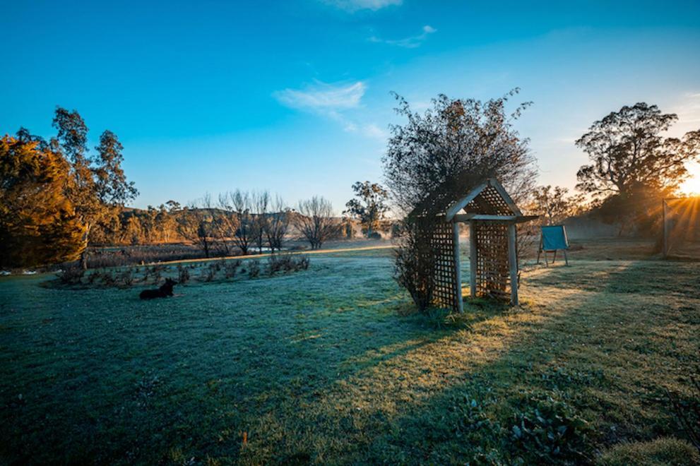 Acheron Valley Country Retreat Buitenkant foto